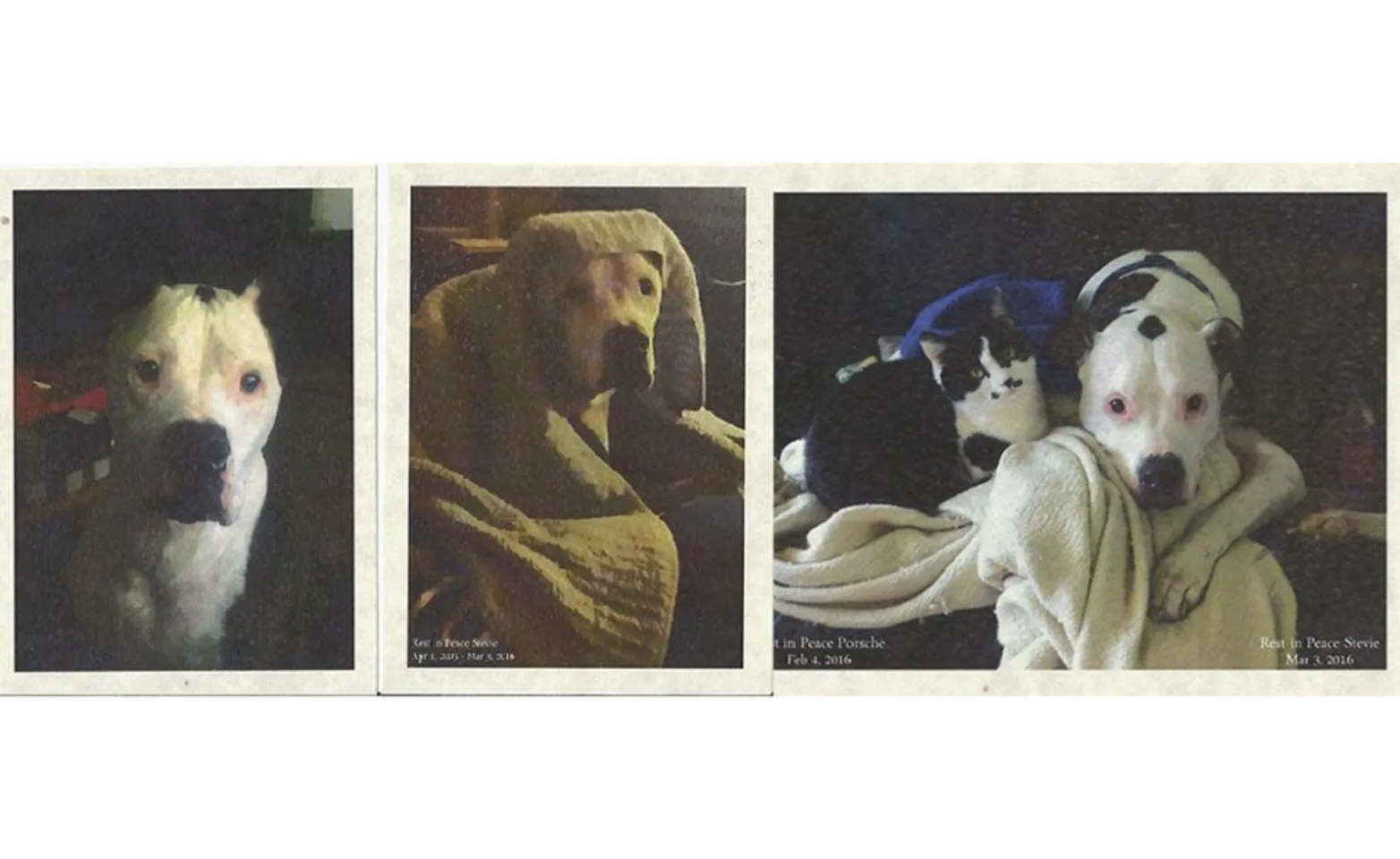 Porsche and Stevie Fraley Porsche and Stevie Fraley