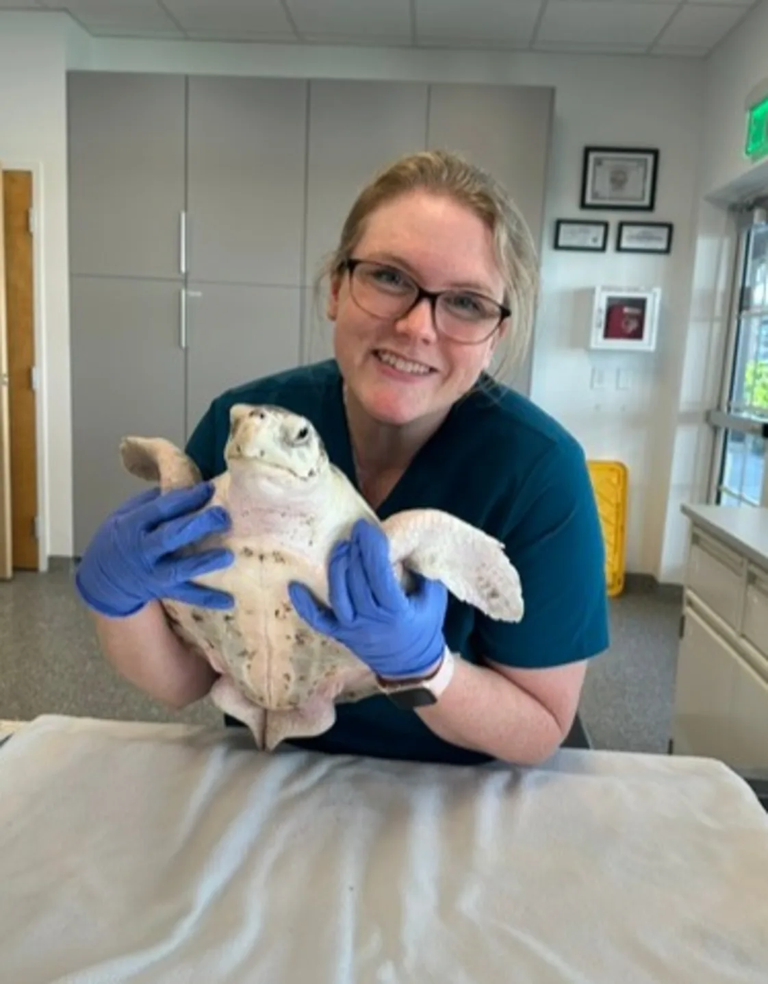Dr.Kelsey Dolittle Dr.Kelsey Dolittle
