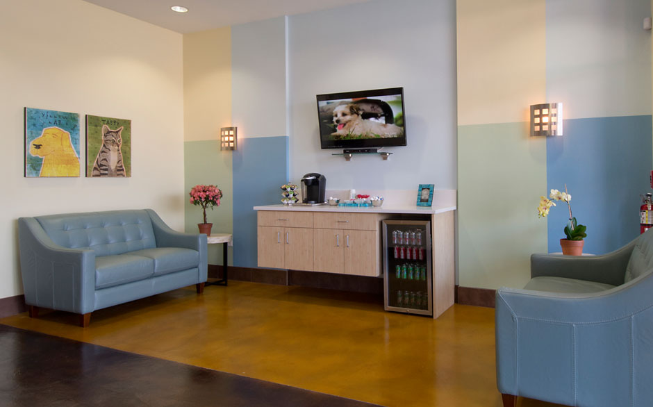 Animal Oasis Veterinary Hospital Waiting Area