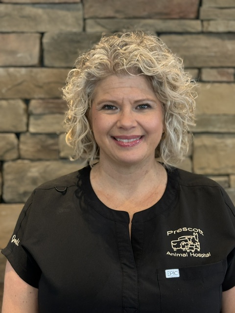 Jodi Fetterly, ACHA