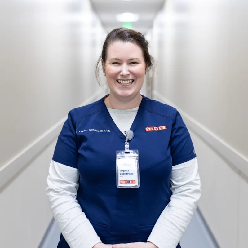 Virginia Glazebrook Virginia Glazebrook