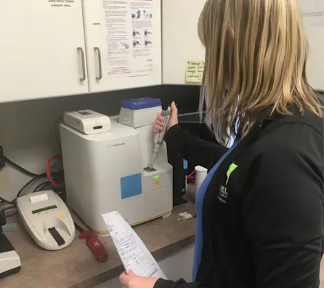 Staff member performing laboratory services Staff member performing laboratory services