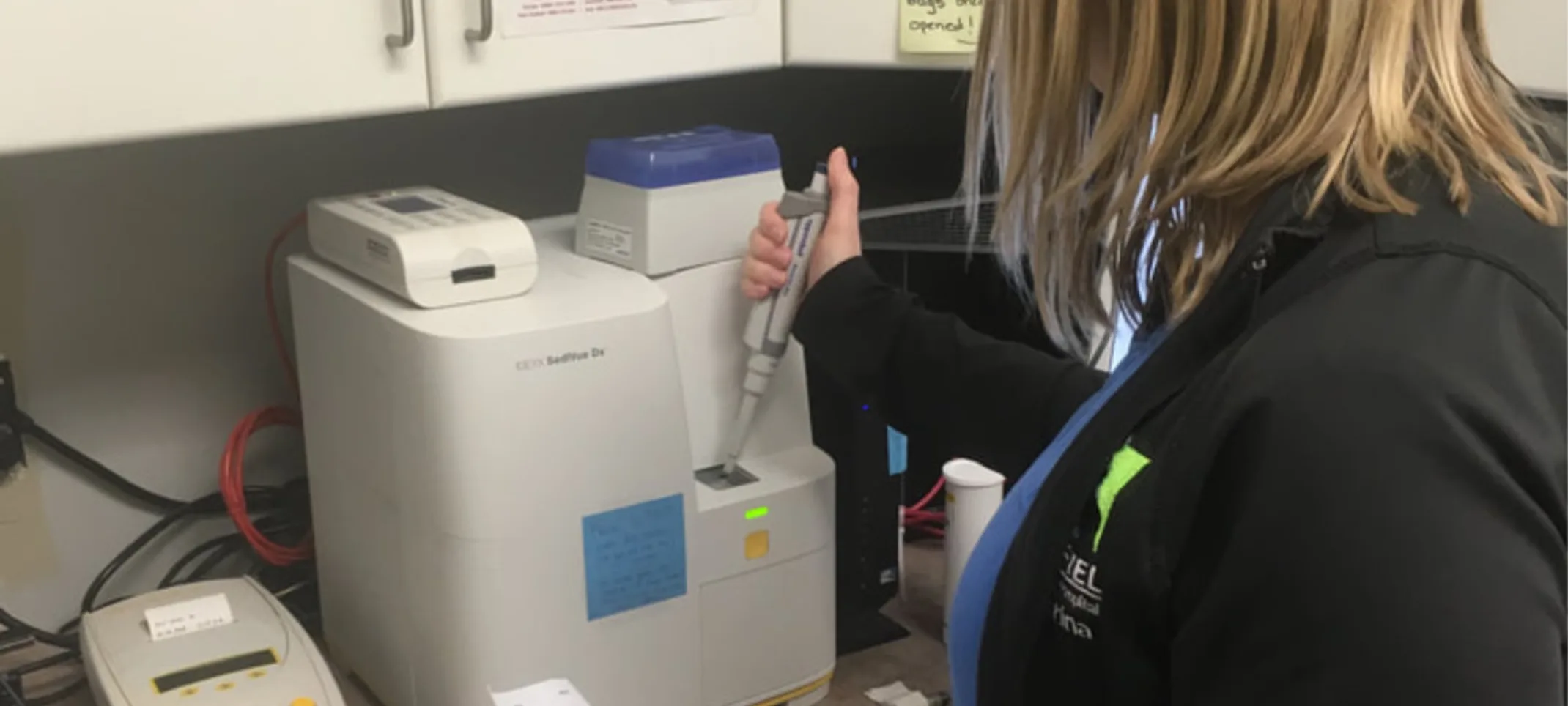 Staff member performing laboratory services Staff member performing laboratory services