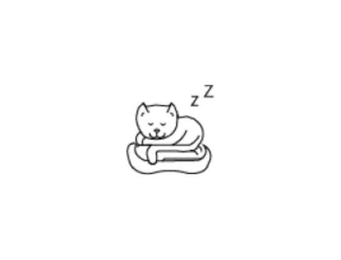 Cat Boarding Icon Cat Boarding Icon