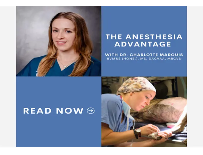 Dr. Charlotte Marquis Dr. Charlotte Marquis