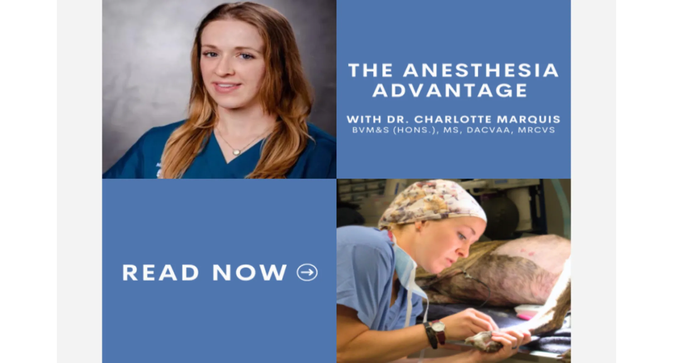 Dr. Charlotte Marquis Dr. Charlotte Marquis