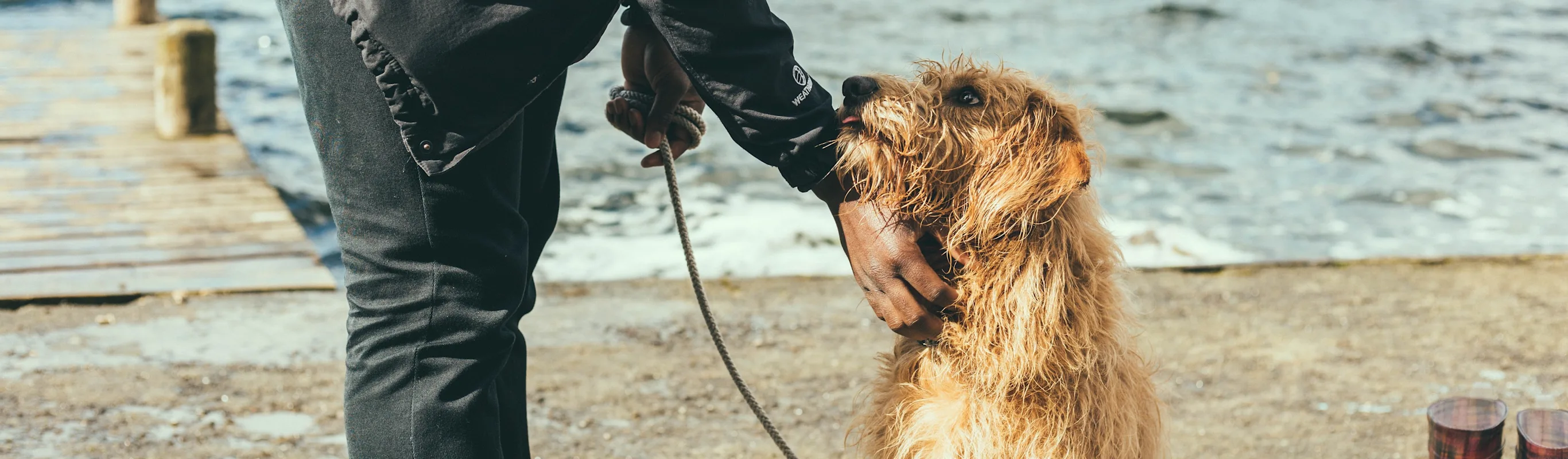 Dog by lake with owner