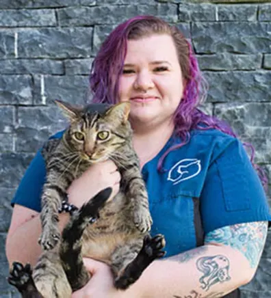 Erica with a grey cat at Mountainside Animal Hospital Erica with a grey cat at Mountainside Animal Hospital