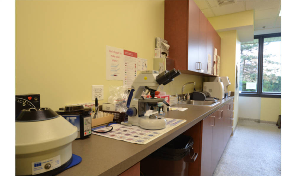 Animal Medical Clinic of Wheaton