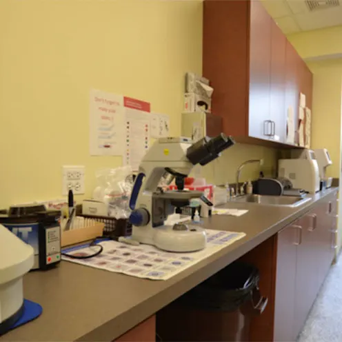 Animal Medical Clinic of Wheaton Animal Medical Clinic of Wheaton