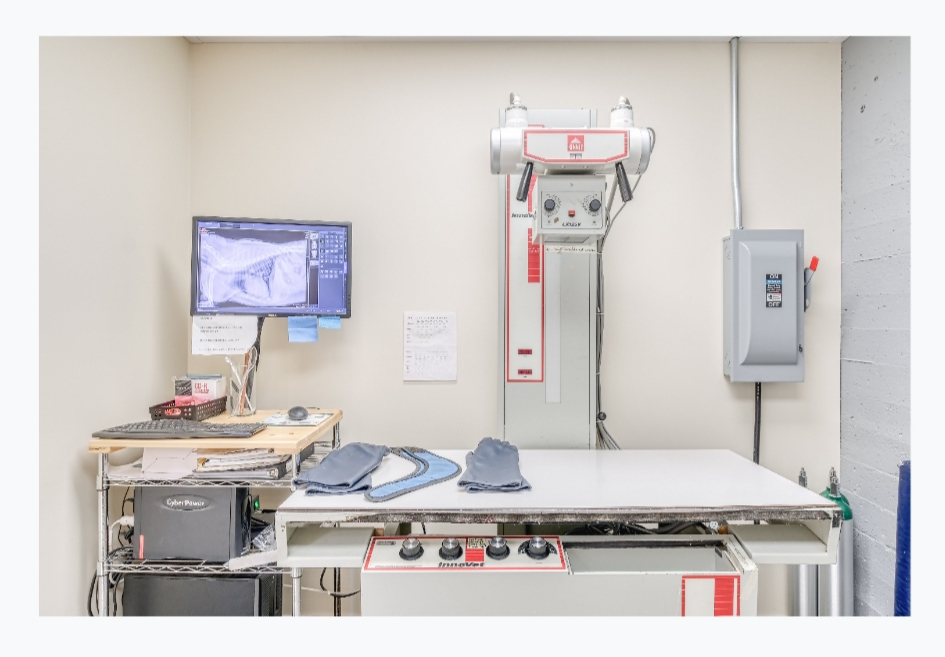 Pet Samaritan Clinic