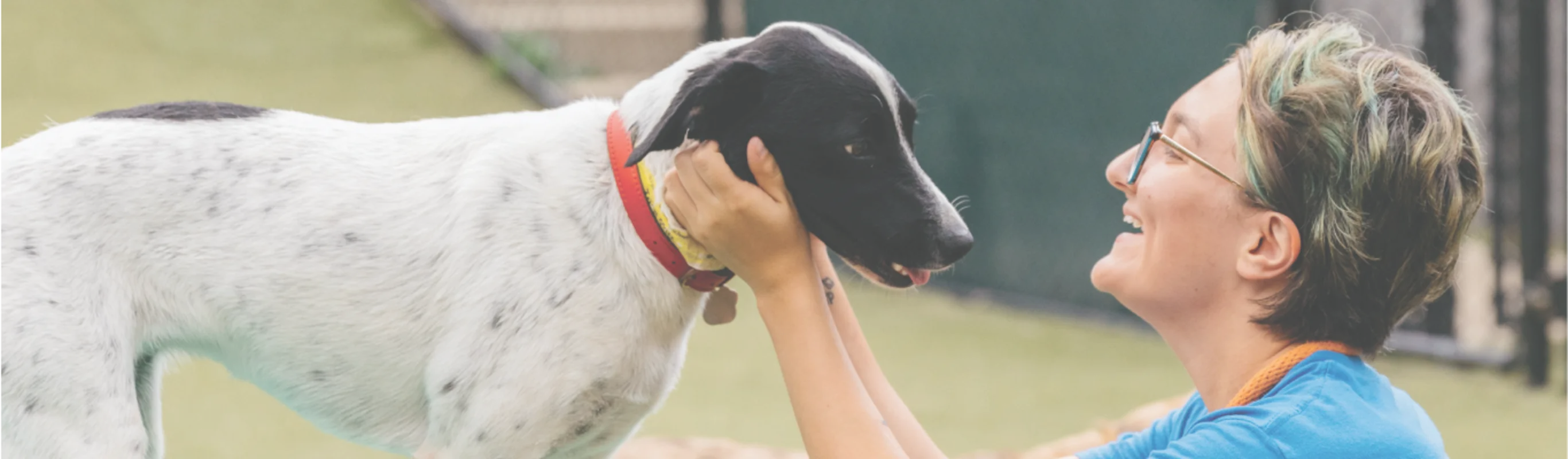 staff smiling with dog staff smiling with dog
