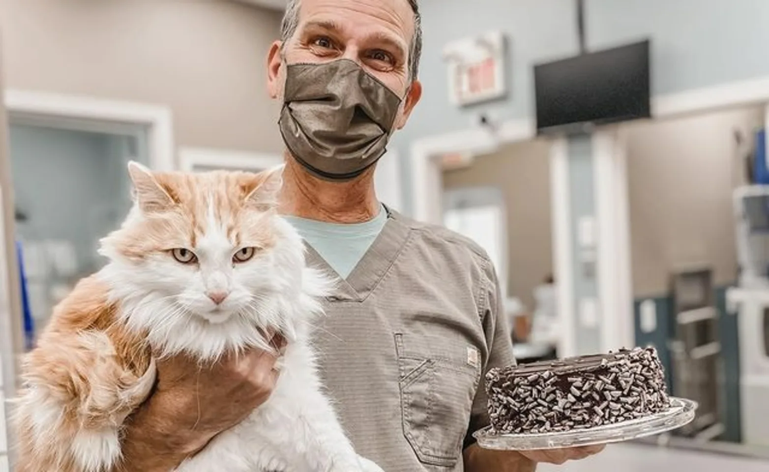 Staff holding a cat in one hand and cake in the other hand