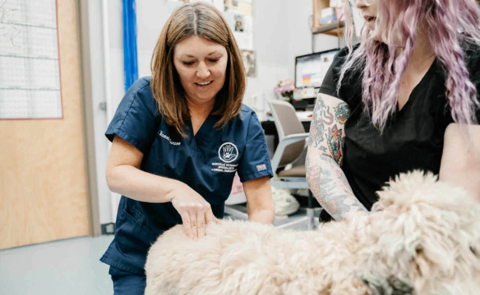 Two staff members examining a dog Two staff members examining a dog