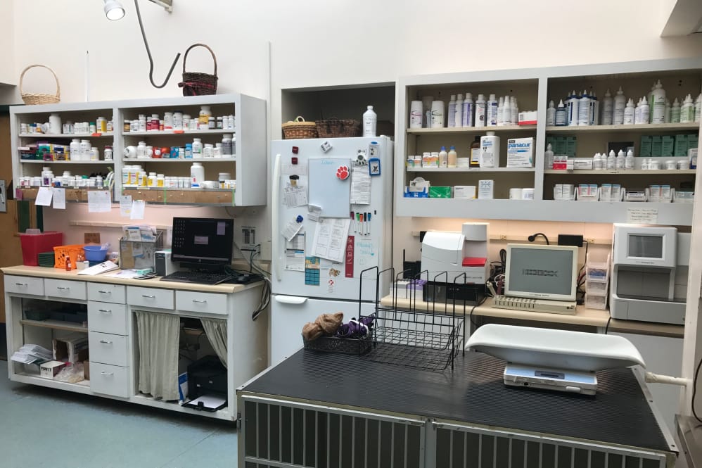 Medical supplies at Merrimack Veterinary Hospital