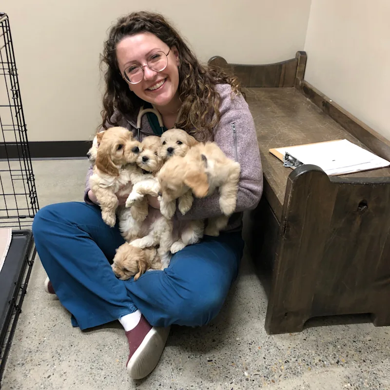 Dr. Megan Bailey Dr. Megan Bailey