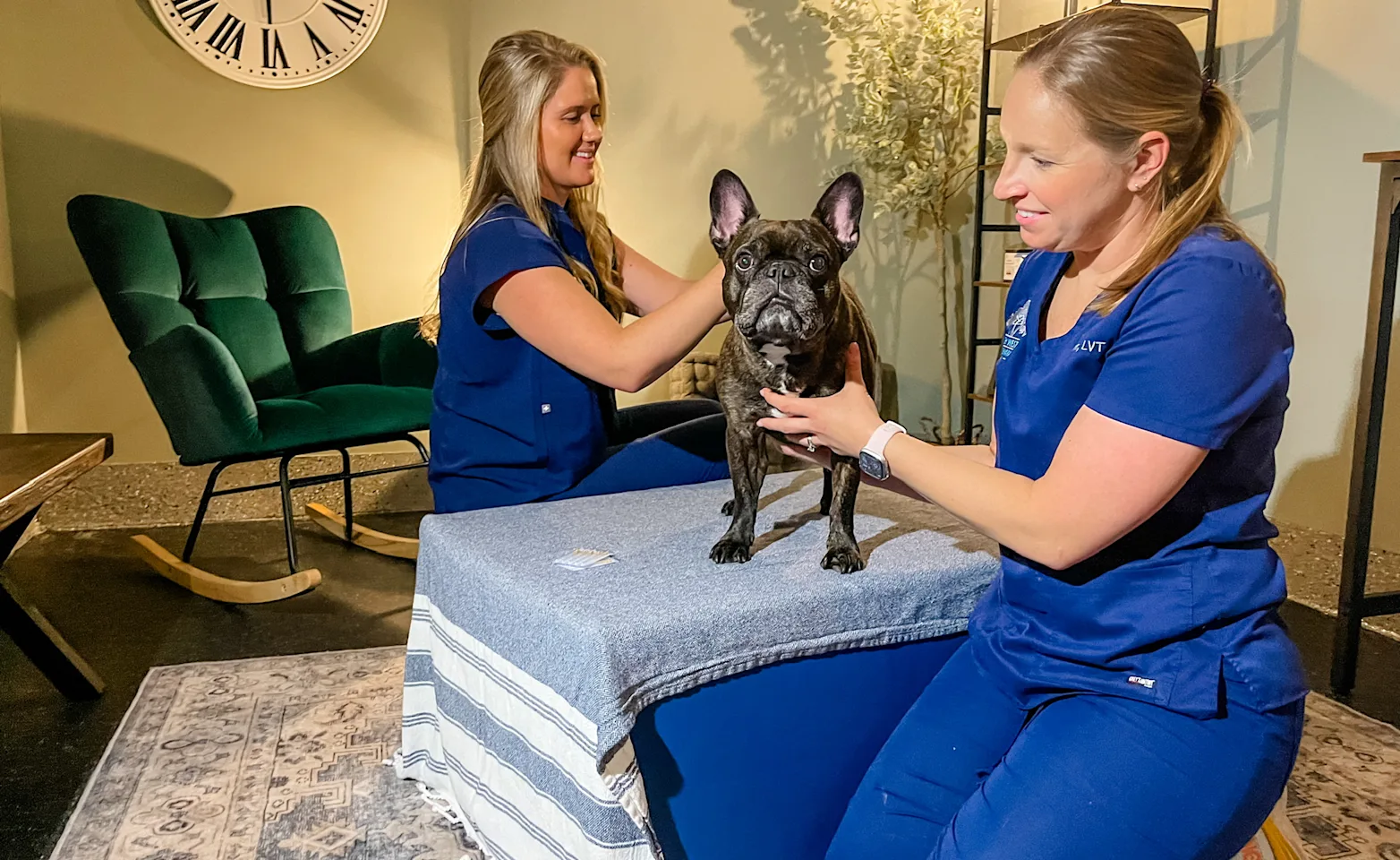 Two Park West Veterinary Associates staff supporting a dog. Two Park West Veterinary Associates staff supporting a dog.