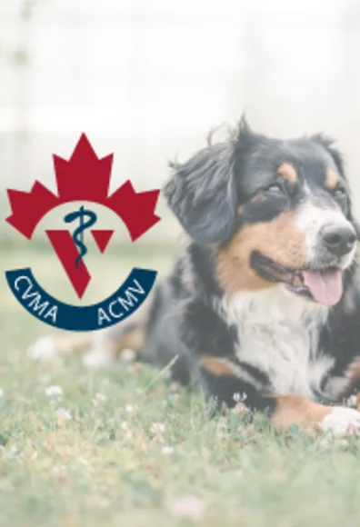 CVMA logo CVMA logo