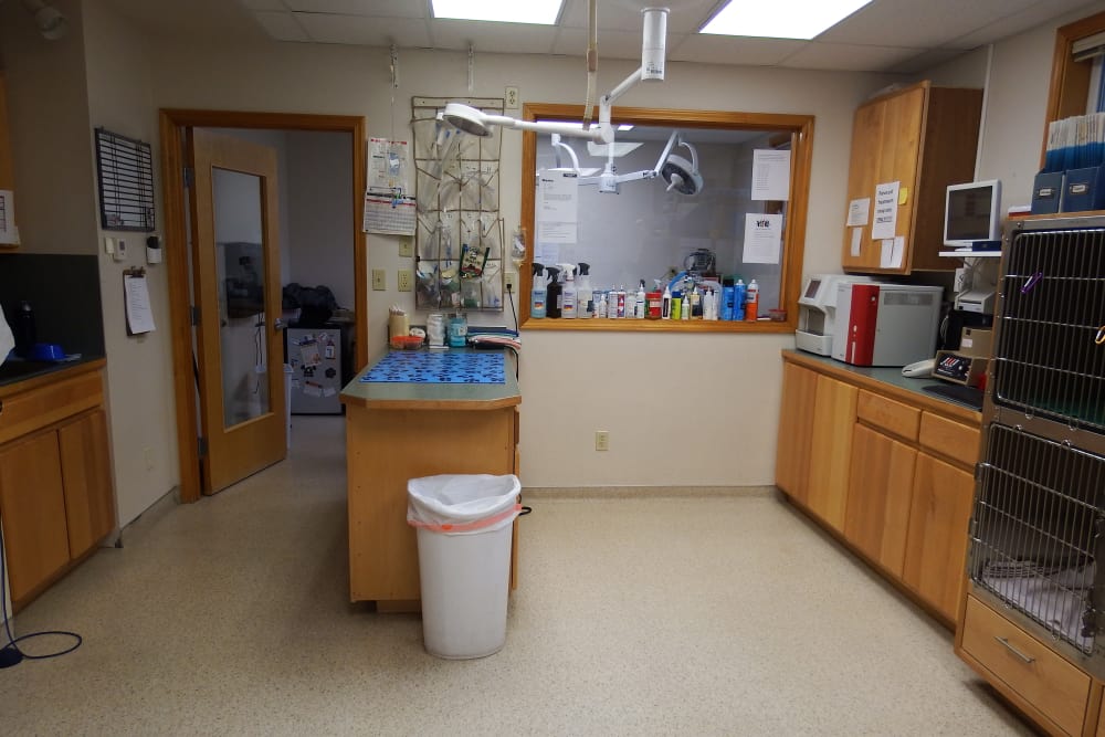 Angeles Clinic for Animals Checkup Area