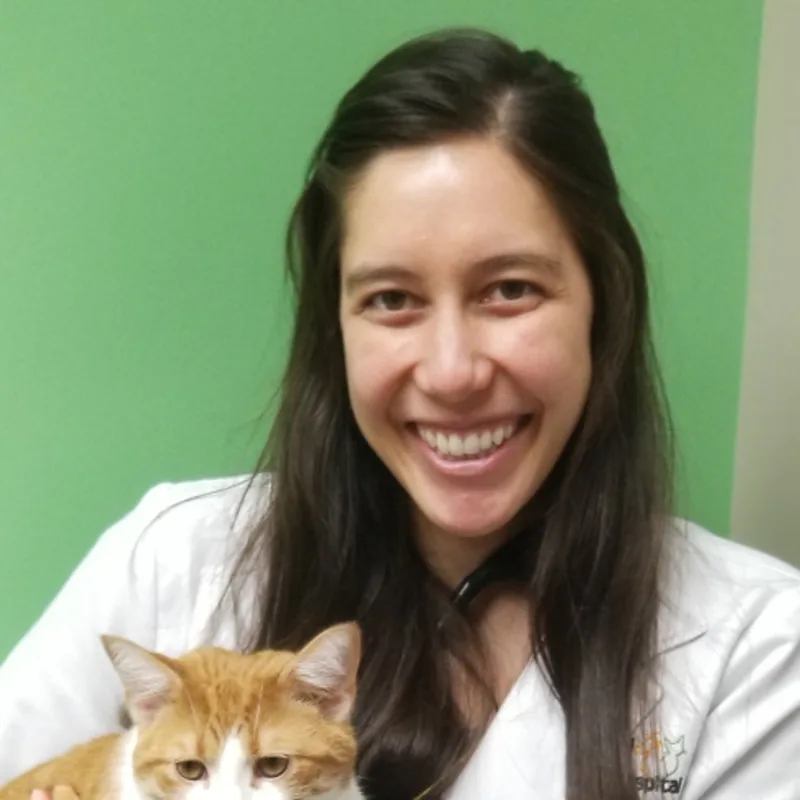 Dr. Melanie Arvin holding an orange and white cat Dr. Melanie Arvin holding an orange and white cat