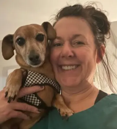 Photo heather and brown dog Photo heather and brown dog