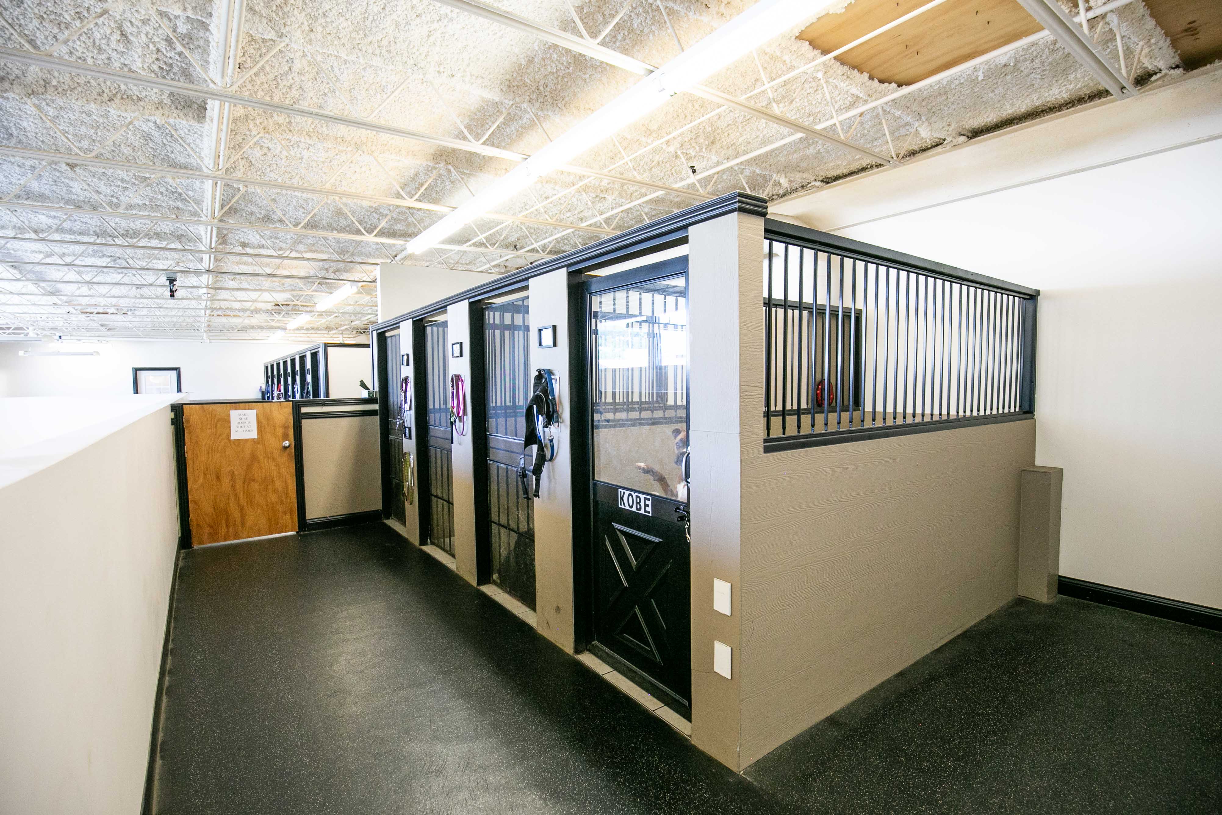 Uptown Hounds Boarding Rooms for the big dogs. 