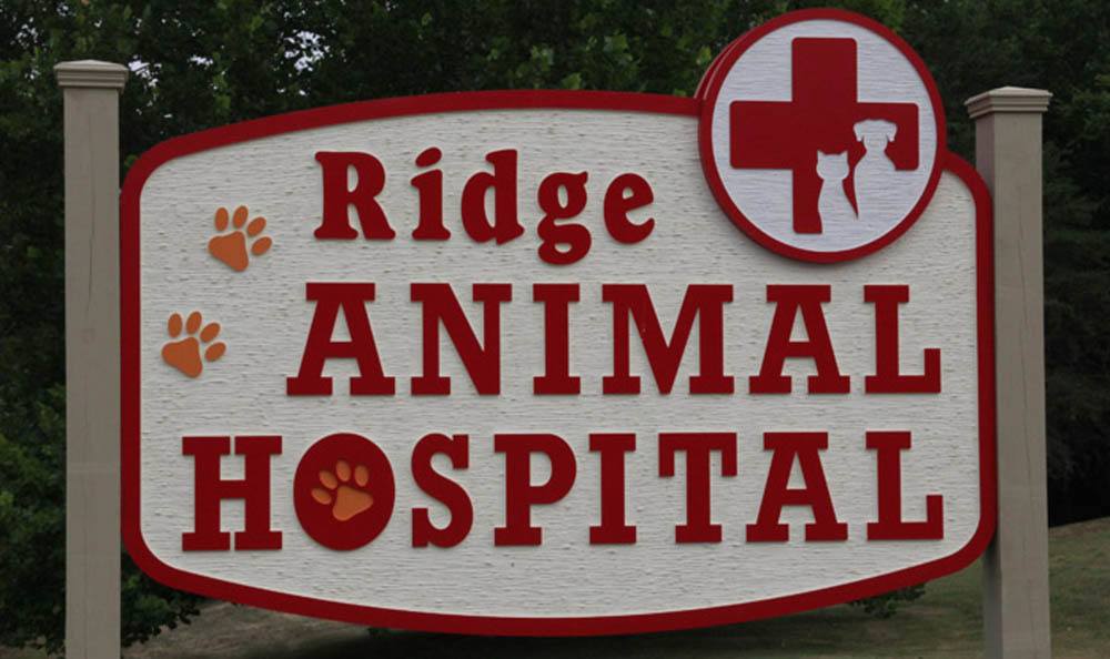 Homepage | Ridge Animal Hospital