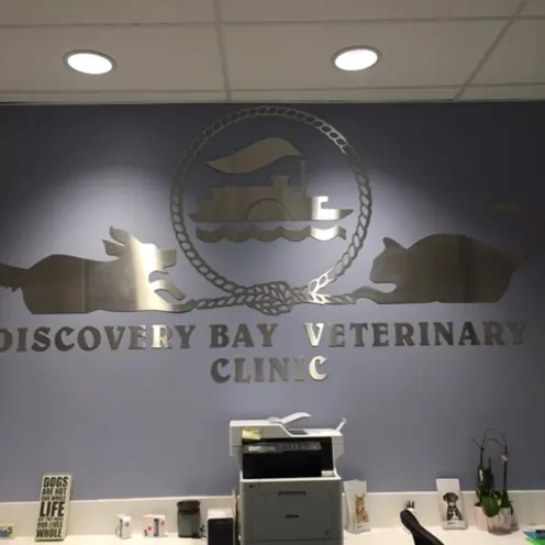 the lobby of the Discovery Bay Veterinary Clinic