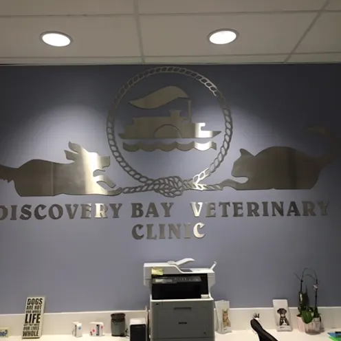 the lobby of the Discovery Bay Veterinary Clinic the lobby of the Discovery Bay Veterinary Clinic