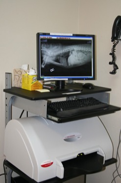 Digital X Ray station at Brentwood Veterinary Hospital