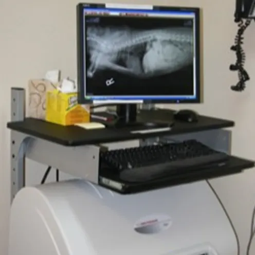 Digital X Ray station at Brentwood Veterinary Hospital