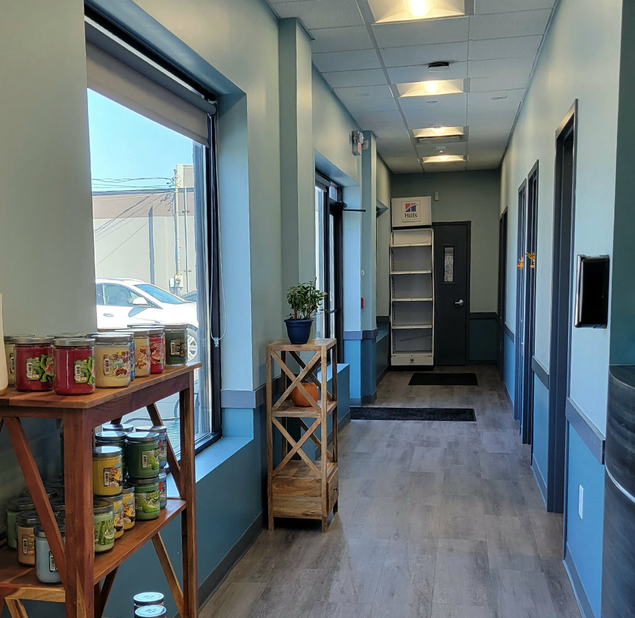 Hallway to Exam Rooms at South Shore Animal Hospital