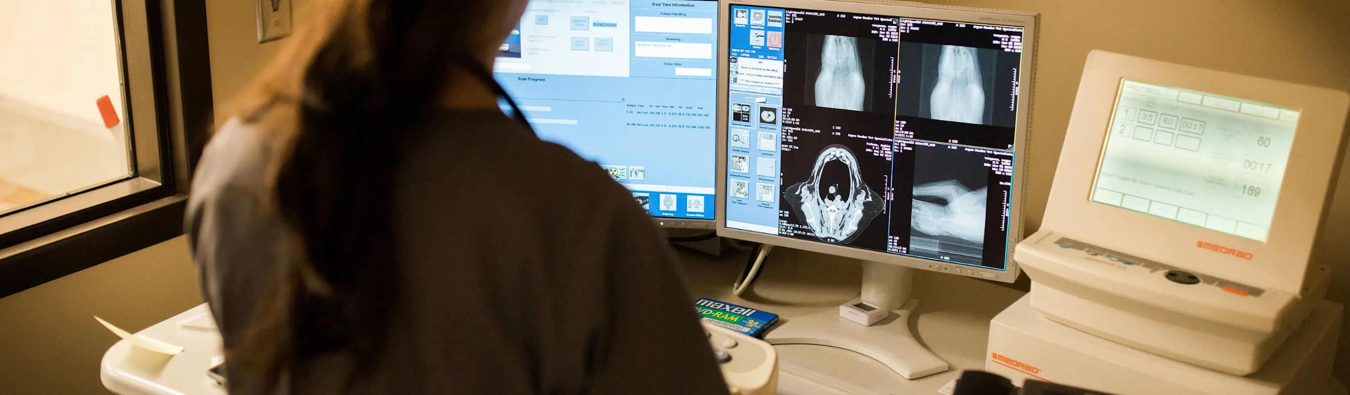 Veterinarian checking a pet's x-ray scans Veterinarian checking a pet's x-ray scans