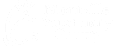 Montville Veterinary Group Logo Montville Veterinary Group Logo
