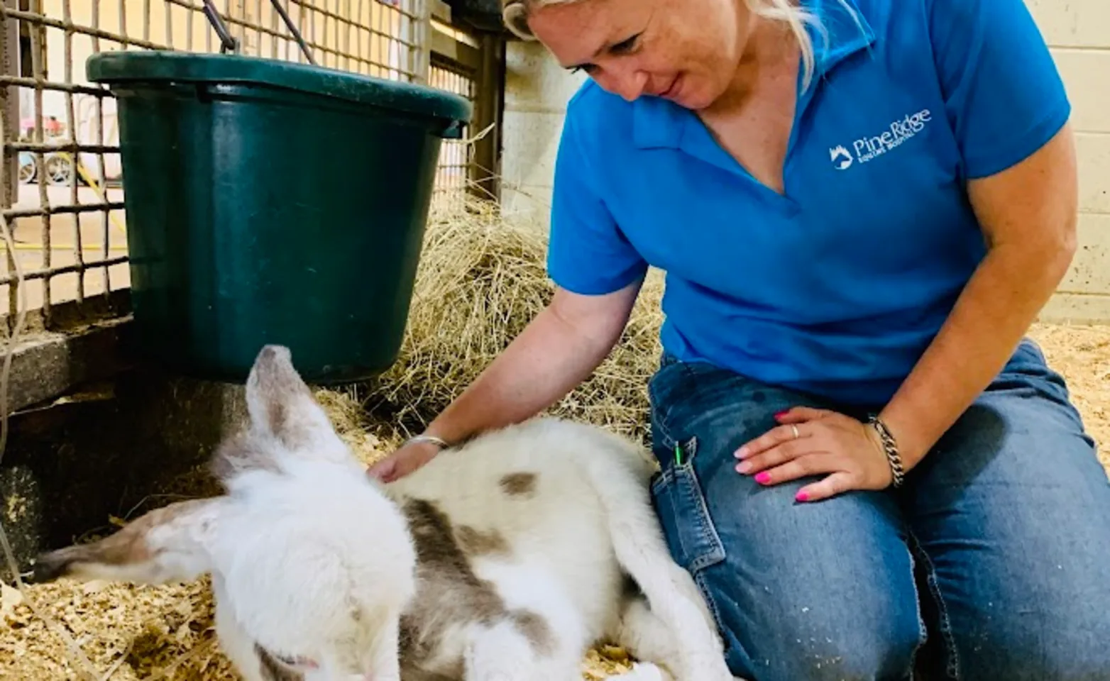 Staff petting foal Staff petting foal