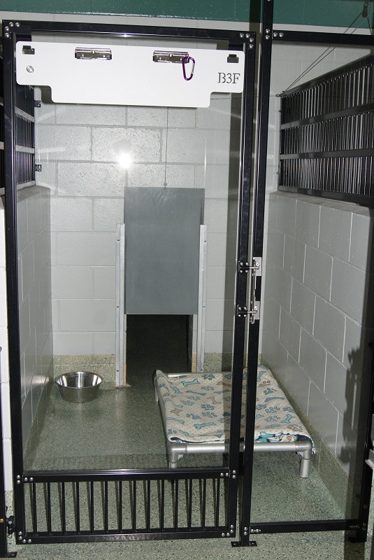 Bay Pines Veterinary Clinic Dog Boarding