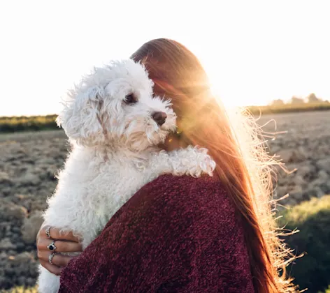 Woman hugging white dog Woman hugging white dog