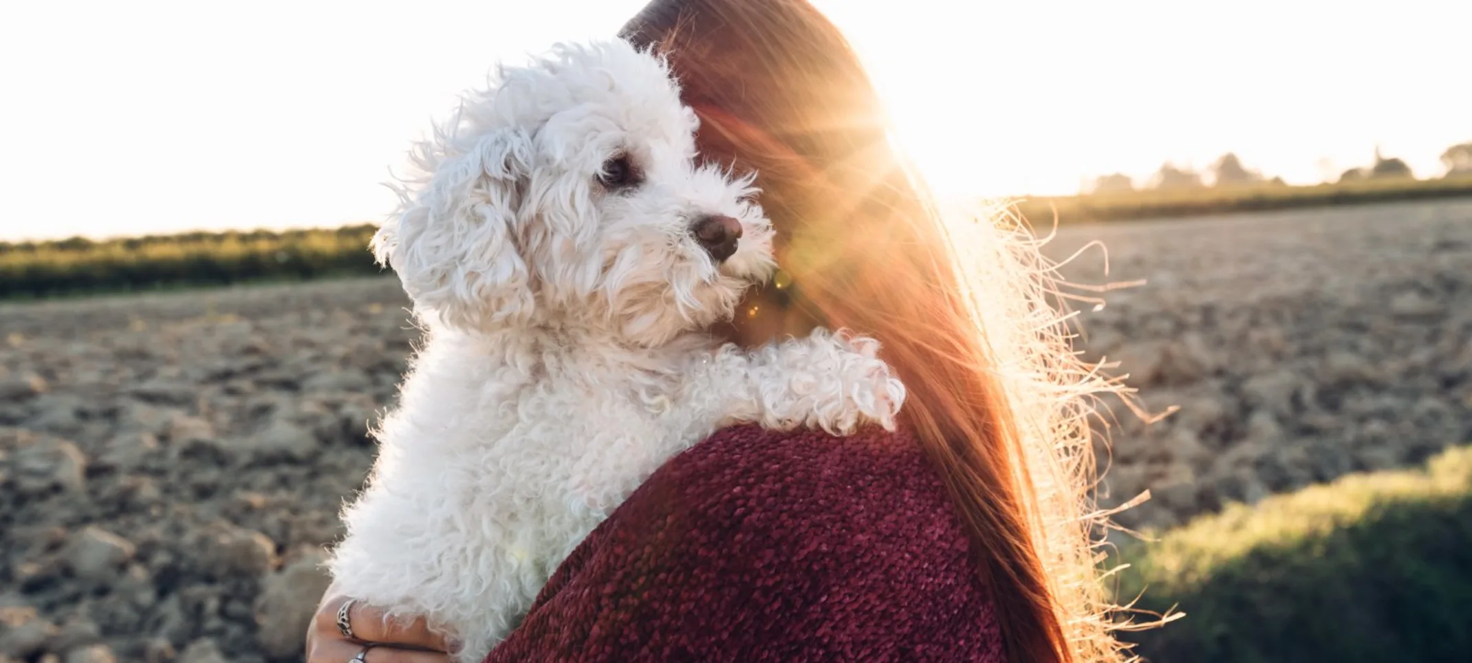 Woman hugging white dog Woman hugging white dog