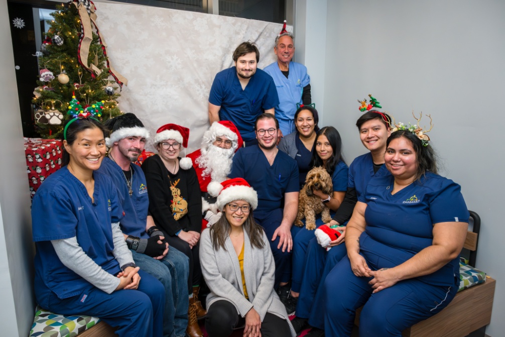 Battery Park Holiday