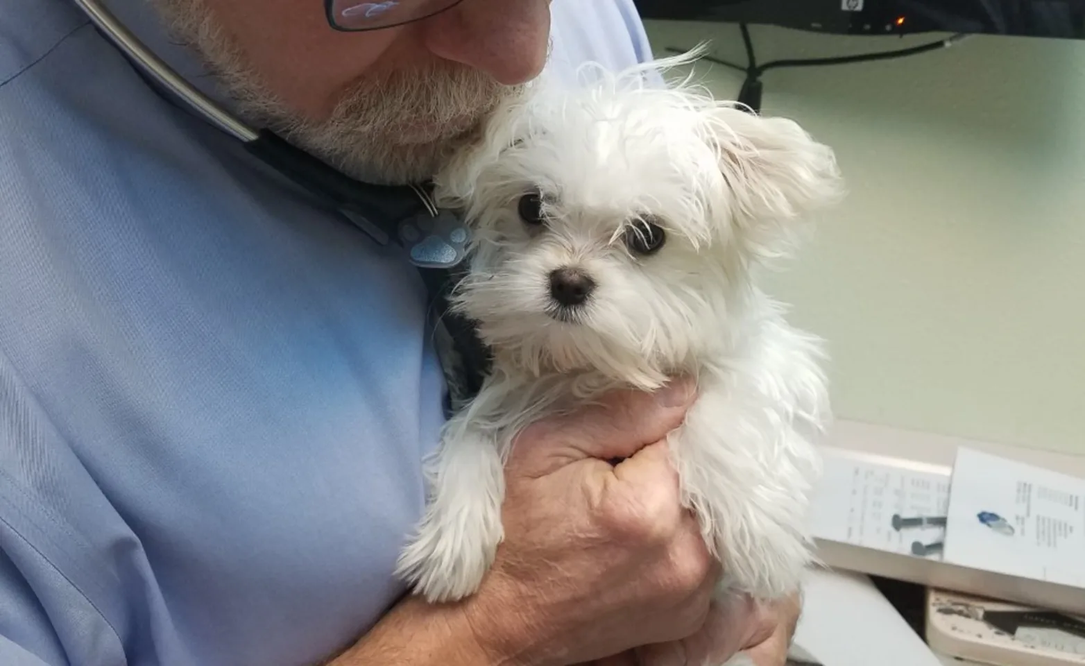 Dr. Matt Jones at Loveland Veterinary Clinic Dr. Matt Jones at Loveland Veterinary Clinic