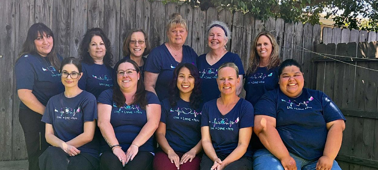 Our Animal Hospital Staff Tracy Veterinary Clinic