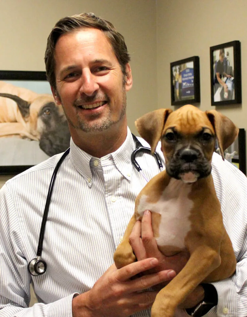 Dr. Todd Hughes with a dog in office