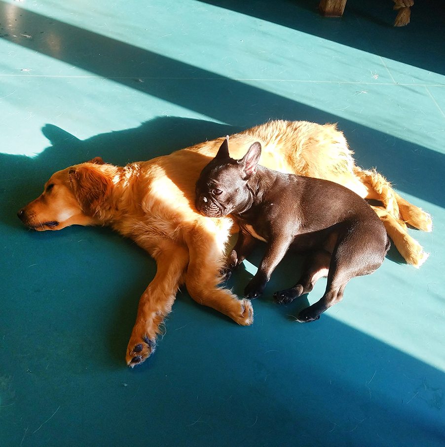 Ruffin' It Resort Guests