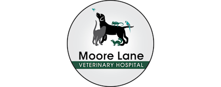 Moore Lane Veterinary Hospital Logo Moore Lane Veterinary Hospital Logo