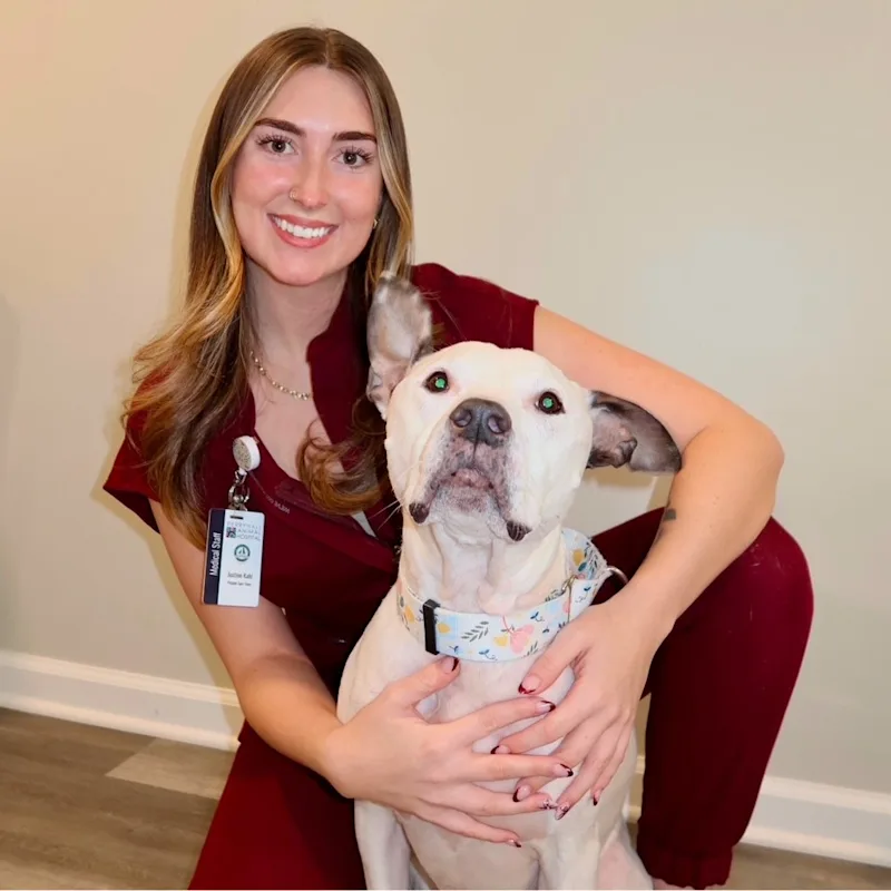 Perry Hall Animal Hospital Justine Kahl Perry Hall Animal Hospital Justine Kahl