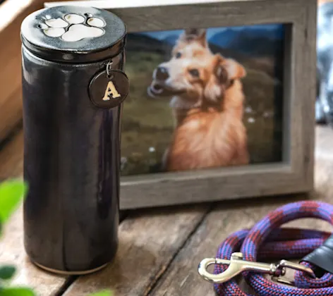 A ceramic bottle containing remains A ceramic bottle containing remains