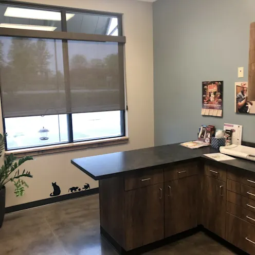 Kitty Room Kitty Room