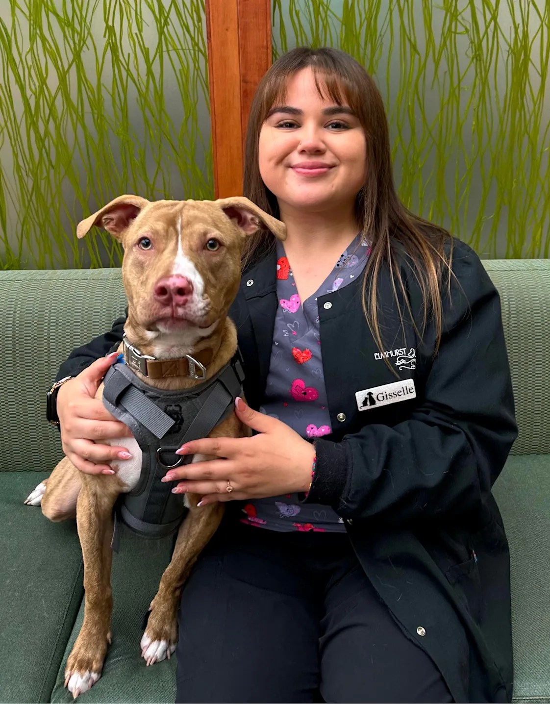 Gisselle Chavez Gisselle Chavez