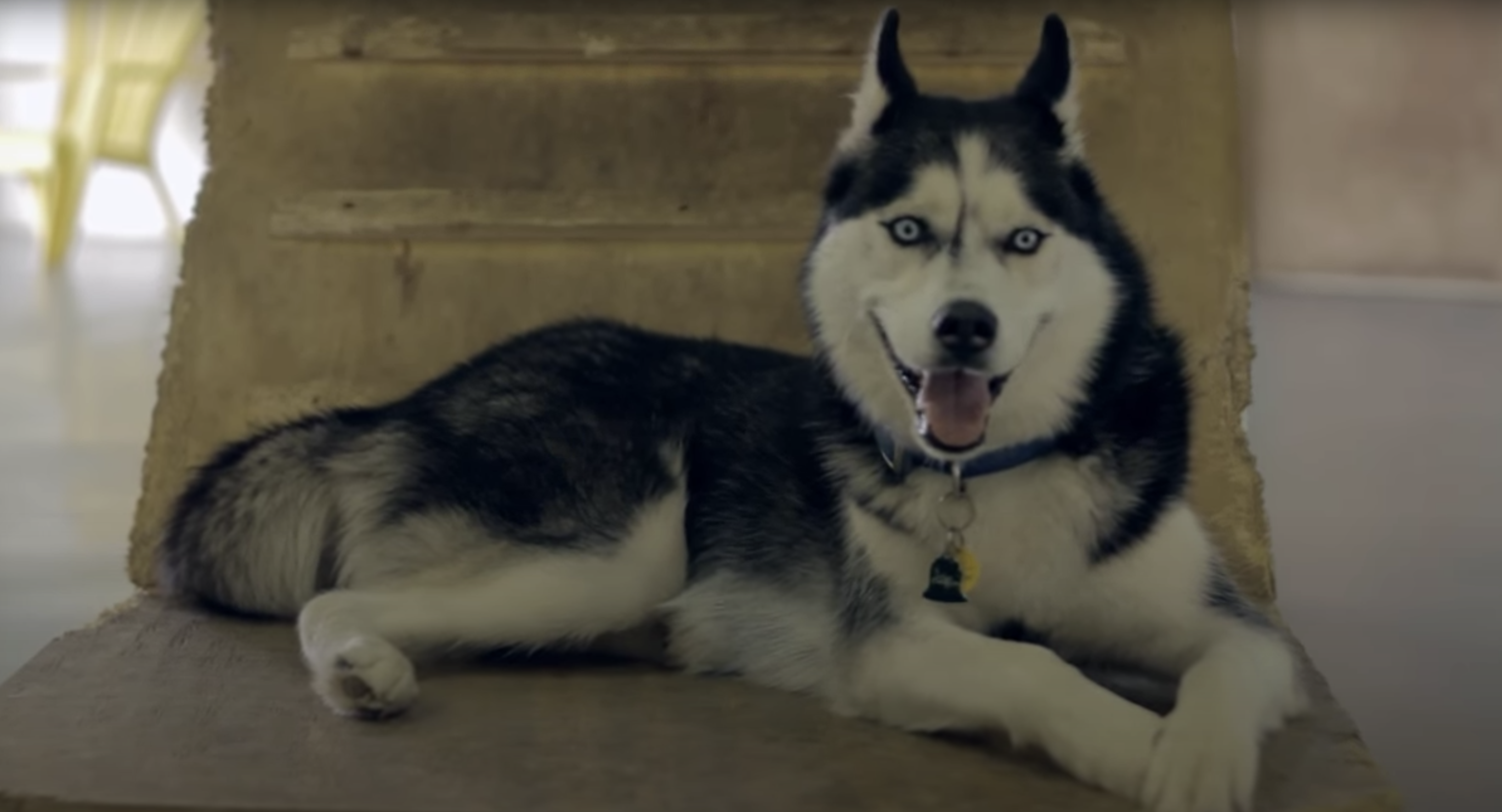 Enrollment video thumbnail