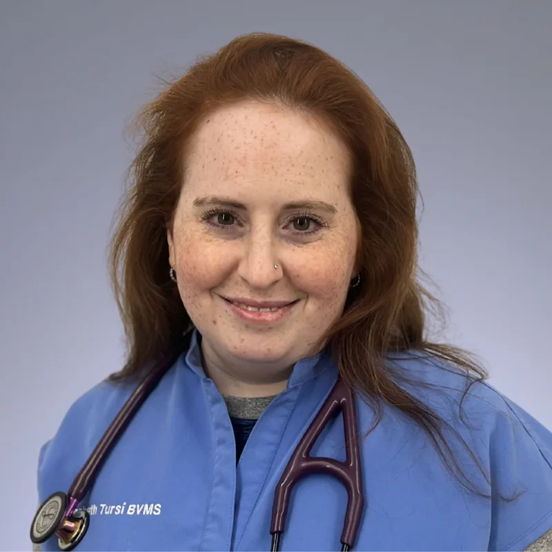 Elizabeth Tursi Elizabeth Tursi